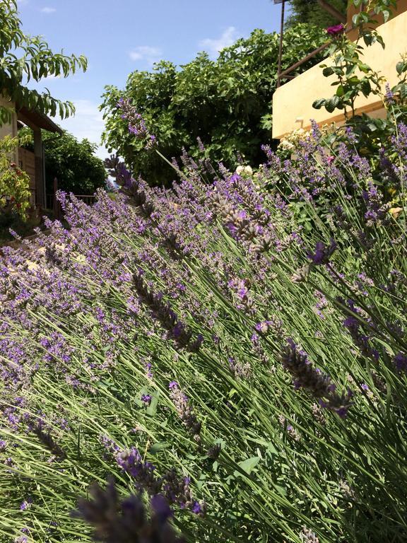 مبيت وإفطار Mézoargues Mas Moineau المظهر الخارجي الصورة